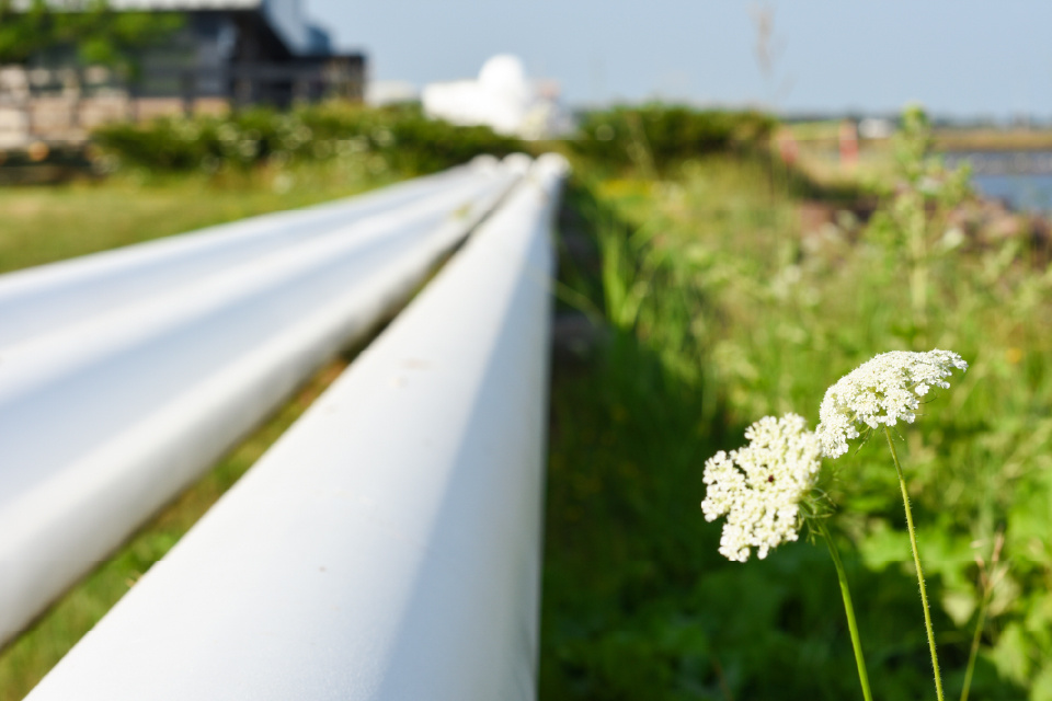 Eco-Friendly Practices in Chemical Manufacturing